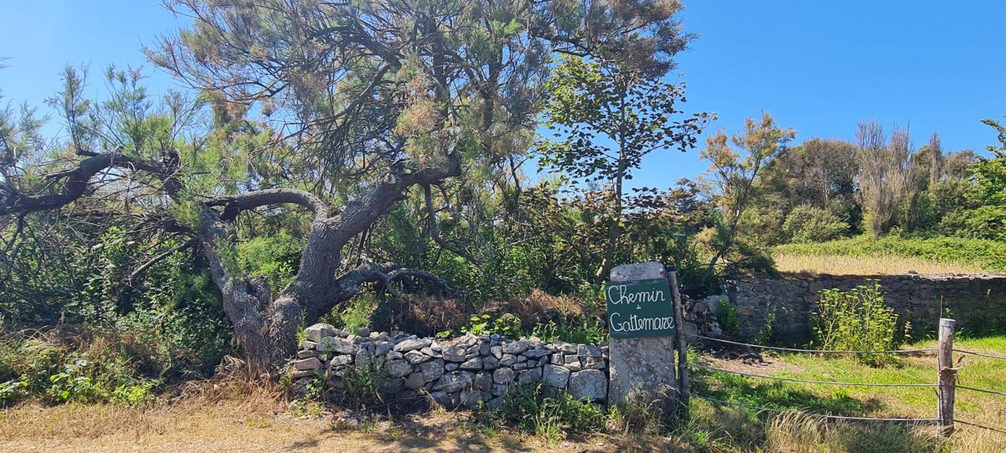 Villa Relais Des Iles Saint Marcouf Esterno foto